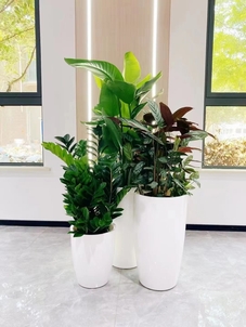 海曙绿化修剪好在哪？这家值得你了解！